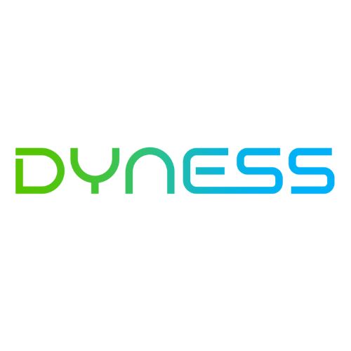 Dyness