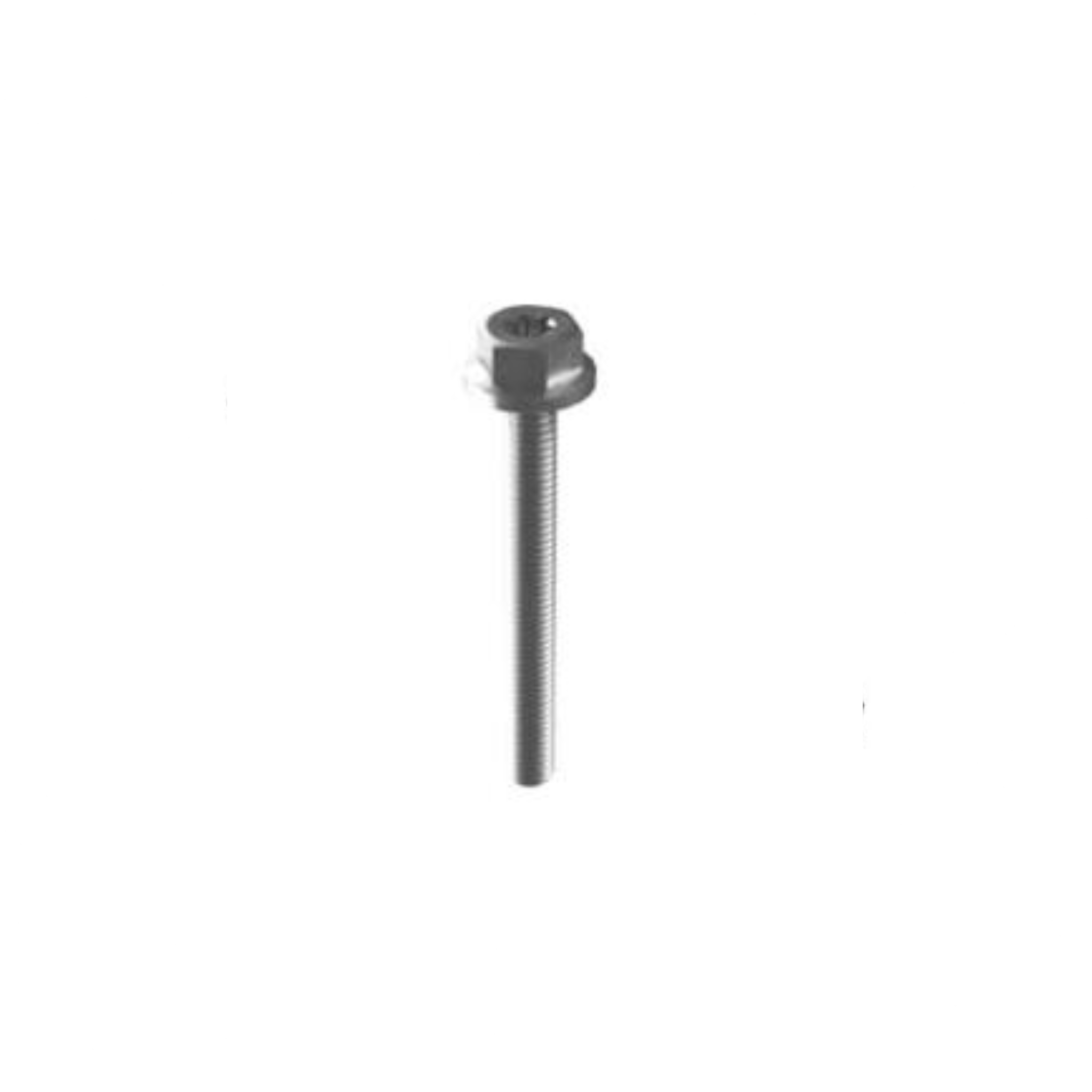 Esdec Mounting Screw M6 x 55 mm